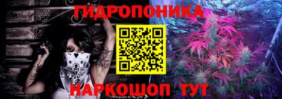 spice Кунгур