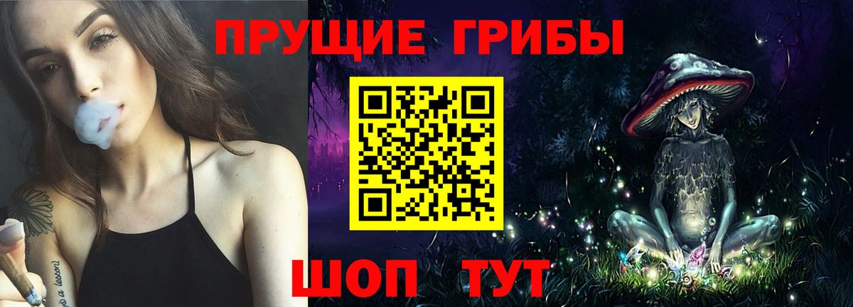 Псилоцибиновые грибы прущие грибы  Вход с VPN  Кимовск 